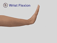 Wrist Flexion