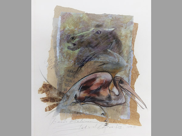 Between foreseen and unforeseen