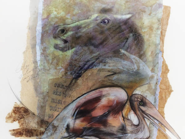 Between foreseen and unforeseen